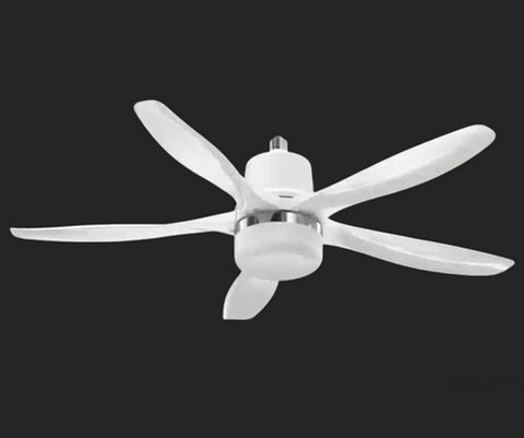Five-blade Big fan light  Model：YYZ-F51